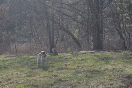 20250401_Macro_DSC_0060 (1)_.jpg