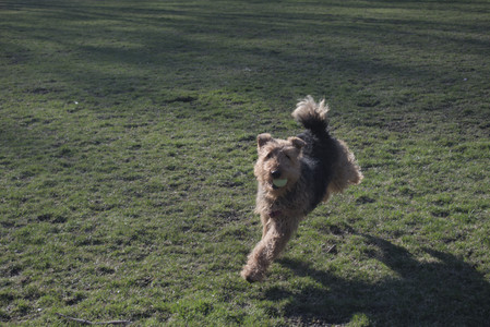 20250401_Macro_DSC_0064 (1)_.jpg