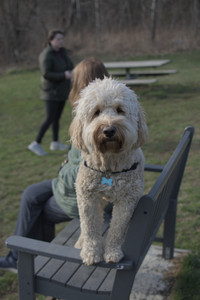 20250402_Dog Park_DSC_0249_.jpg