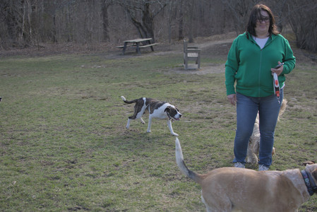 20250402_Dog Park_DSC_0259_.jpg