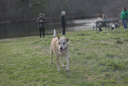 20250402_Dog Park_DSC_0262_.jpg