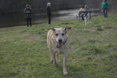 20250402_Dog Park_DSC_0263_.jpg