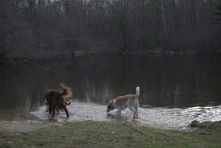 20250402_Dog Park_DSC_0272_.jpg
