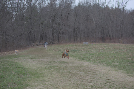 20250402_Dog Park_DSC_0280_.jpg