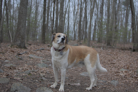 20250402_Dog Park_DSC_0296_.jpg