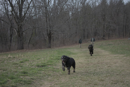 20250402_Dog Park_DSC_0309_.jpg