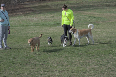 20250404_Macro and Dog Park_DSC_0250_.jpg