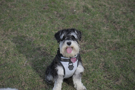 20250404_Macro and Dog Park_DSC_0255_.jpg