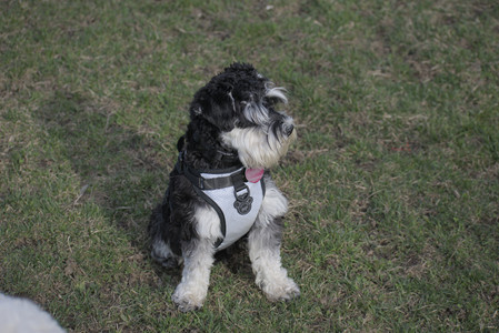 20250404_Macro and Dog Park_DSC_0256_.jpg