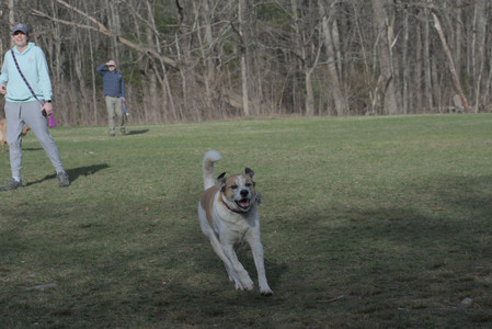 20250404_Macro and Dog Park_DSC_0273_.jpg
