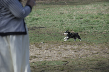 20250404_Macro and Dog Park_DSC_0276_.jpg