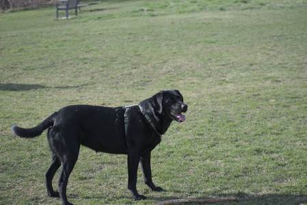 20250404_Macro and Dog Park_DSC_0299_.jpg