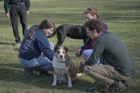 20250404_Macro and Dog Park_DSC_0323_.jpg