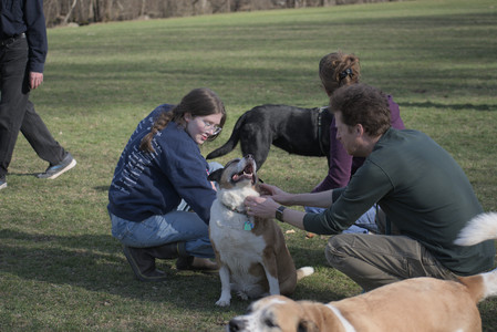 20250404_Macro and Dog Park_DSC_0324_.jpg