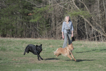 20250404_Macro and Dog Park_DSC_0344_.jpg