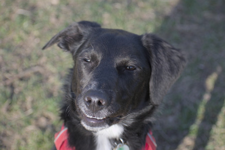 20250404_Macro and Dog Park_DSC_0374_.jpg