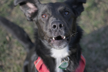 20250404_Macro and Dog Park_DSC_0377_.jpg