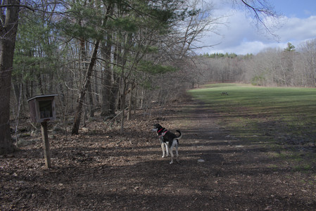 20250408_Dog Park et alia_DSC_0748_.jpg