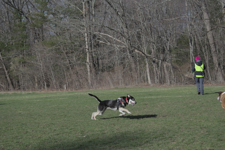 20250408_Dog Park et alia_DSC_0763_.jpg