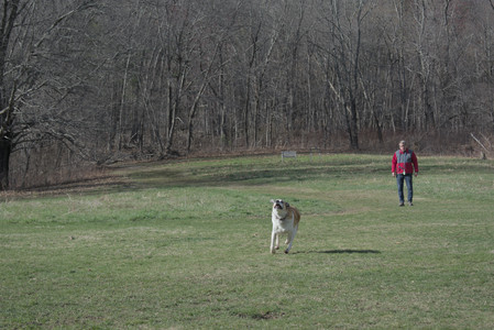 20250408_Dog Park et alia_DSC_0771_.jpg