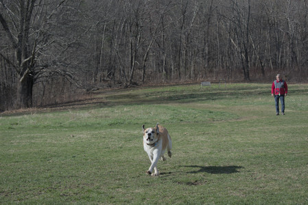 20250408_Dog Park et alia_DSC_0772_.jpg