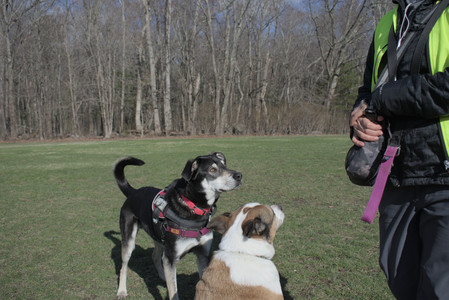 20250408_Dog Park et alia_DSC_0776_.jpg