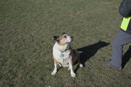 20250408_Dog Park et alia_DSC_0778_.jpg