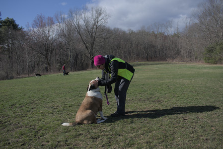 20250408_Dog Park et alia_DSC_0780_.jpg