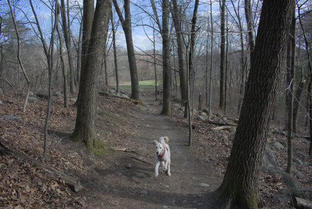20250408_Dog Park et alia_DSC_0798_.jpg