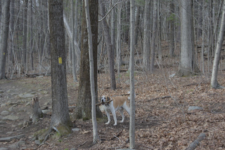 20250408_Dog Park et alia_DSC_0801_.jpg
