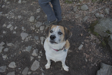 20250408_Dog Park et alia_DSC_0802_.jpg