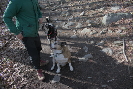 20250408_Dog Park et alia_DSC_0810_.jpg
