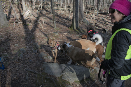 20250408_Dog Park et alia_DSC_0812_.jpg