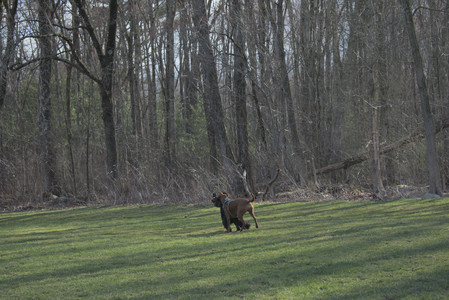 20250408_Dog Park et alia_DSC_0820_.jpg