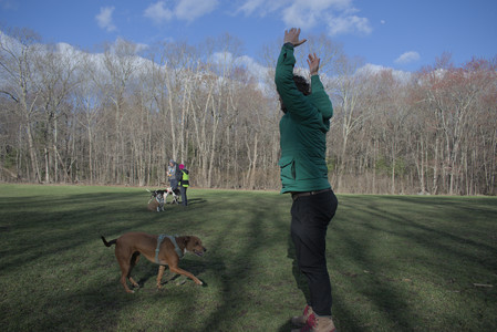 20250408_Dog Park et alia_DSC_0821_.jpg