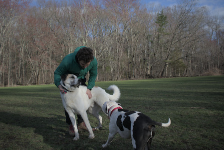 20250408_Dog Park et alia_DSC_0827_.jpg