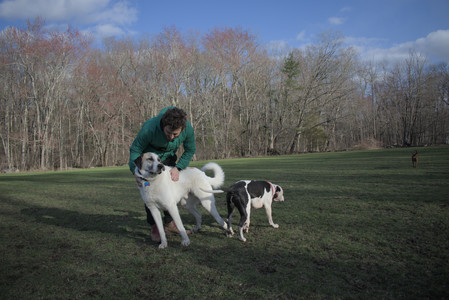 20250408_Dog Park et alia_DSC_0828_.jpg