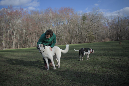 20250408_Dog Park et alia_DSC_0829_.jpg