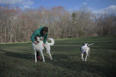20250408_Dog Park et alia_DSC_0830_.jpg