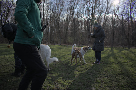 20250408_Dog Park et alia_DSC_0833_.jpg