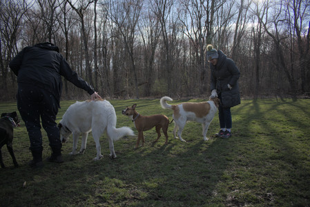 20250408_Dog Park et alia_DSC_0834_.jpg