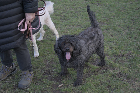 20250408_Dog Park et alia_DSC_0849_.jpg