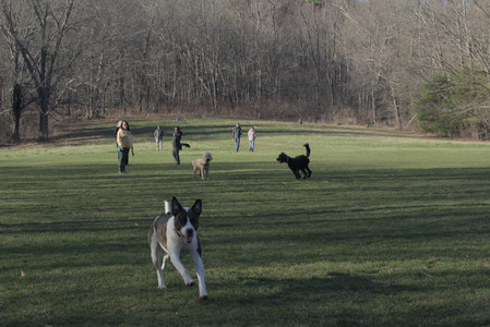 20250409_Dog Park_DSC_0074_.jpg