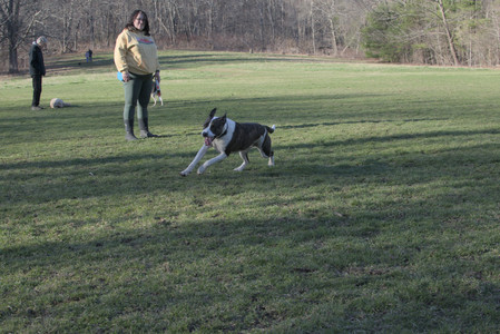 20250409_Dog Park_DSC_0083_.jpg