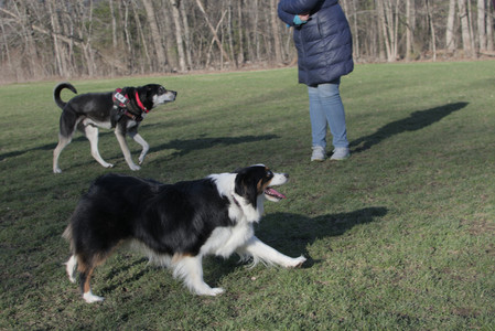 20250409_Dog Park_DSC_0111_.jpg