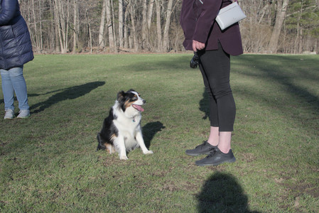 20250409_Dog Park_DSC_0112_.jpg