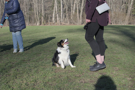 20250409_Dog Park_DSC_0113_.jpg