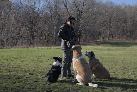 20250409_Dog Park_DSC_0128_.jpg