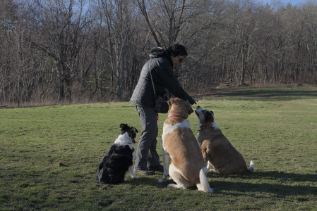 20250409_Dog Park_DSC_0129_.jpg