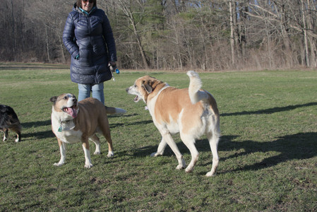 20250409_Dog Park_DSC_0135_.jpg